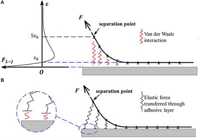 Spring Contact Model of Tape Peeling: A Combination of the Peel-Zone Approach and the Kendall Approach